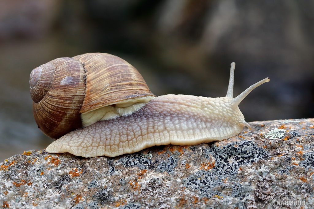Snails' pace halts work on £40 million road project London Globe